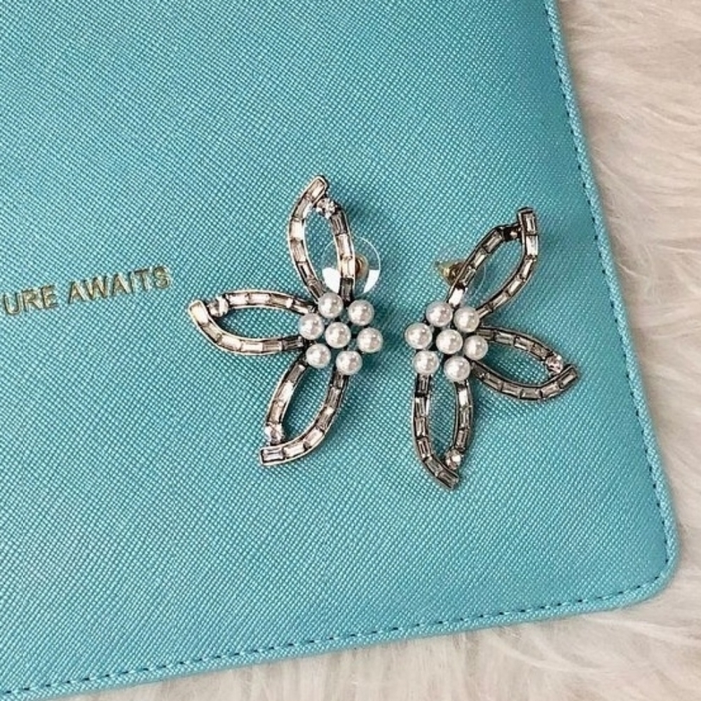 Beautiful Earrings